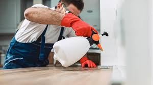 Professional Pest Control in Doraville, GA